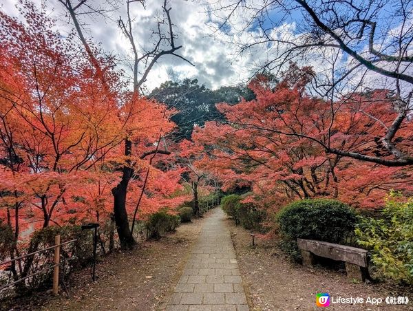 好美的御船山樂園