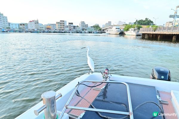 台南安平景點｜立驛國際安平遊港遊運河｜日落夕陽橘黃漸層｜天色漸暗迎來浪漫璀璨夜景！可愛白鷺鷥伴遊~台南景點推薦