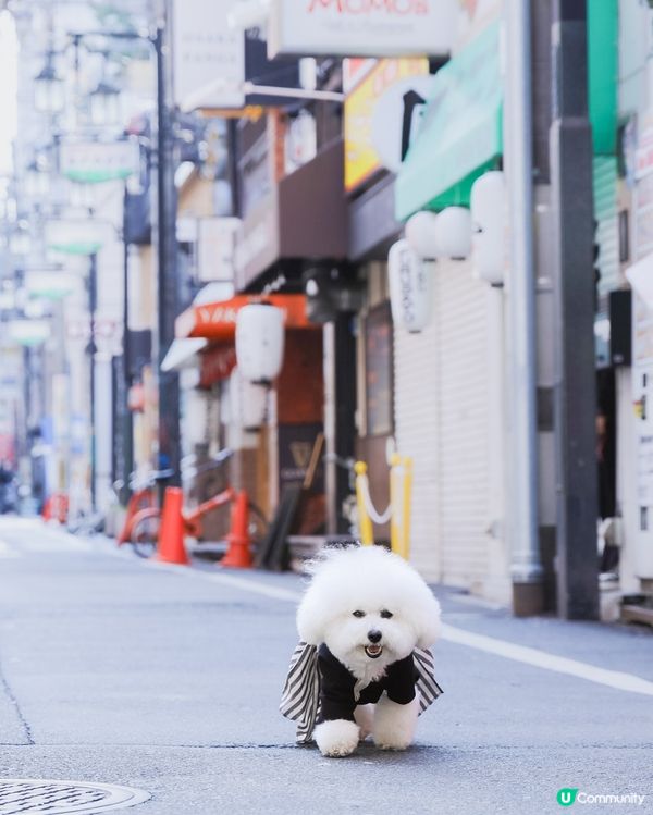 🚶‍♂️ 大阪街頭漫步: 陪你睇未睇過嘅風景 🇯🇵🐾