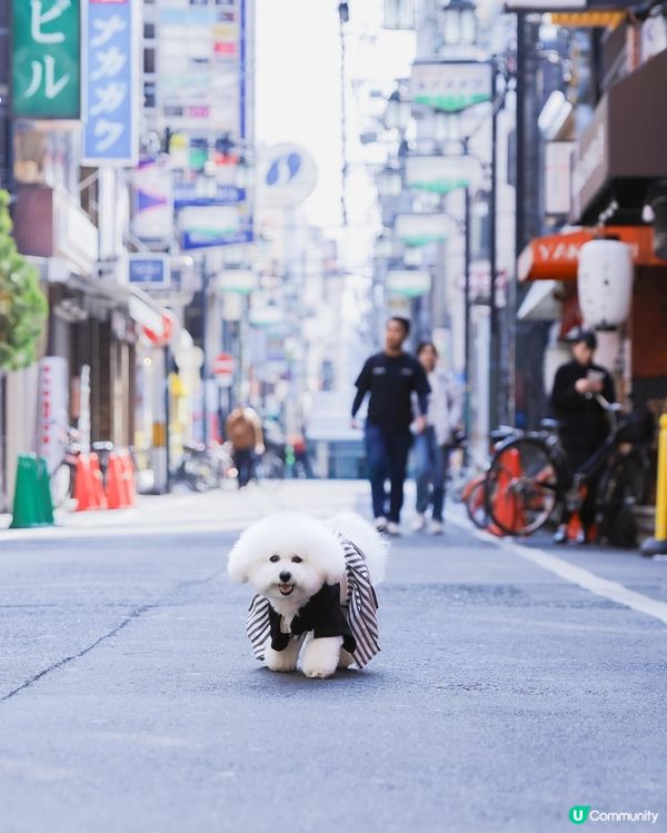 🚶‍♂️ 大阪街頭漫步: 陪你睇未睇過嘅風景 🇯🇵🐾