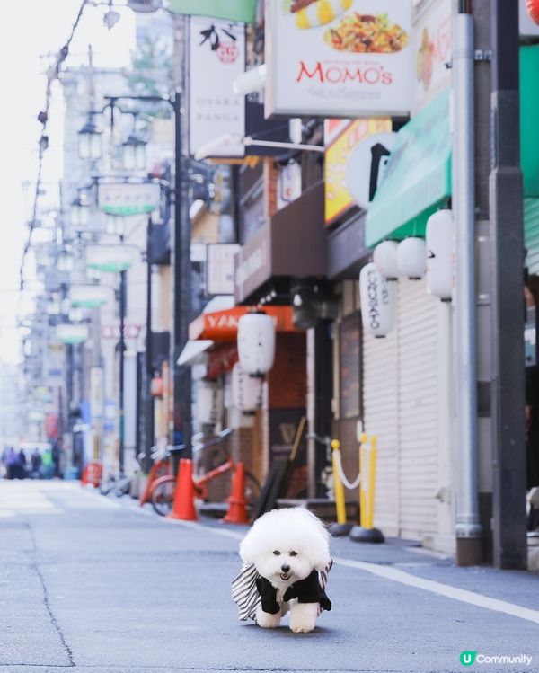 🚶‍♂️ 大阪街頭漫步: 陪你睇未睇過嘅風景 🇯🇵🐾
