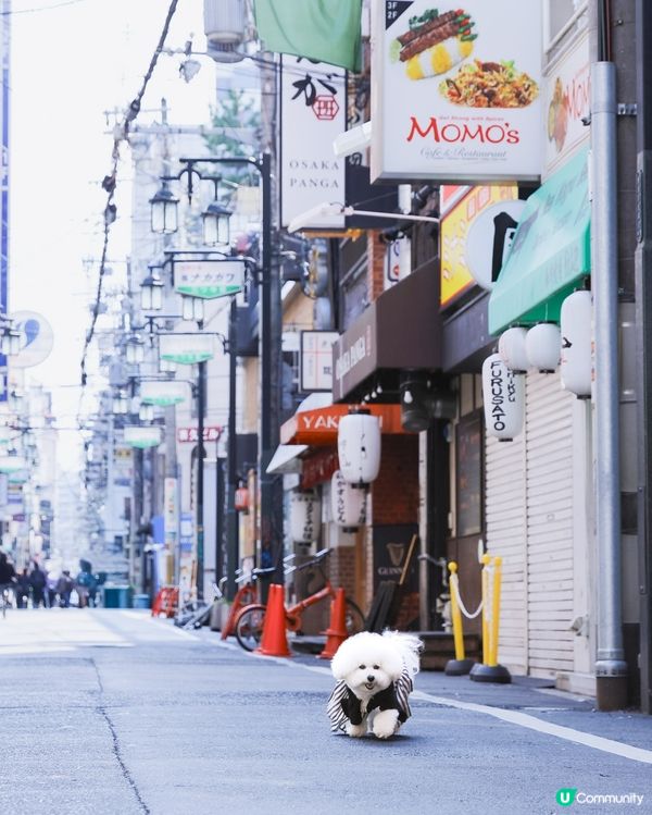 🚶‍♂️ 大阪街頭漫步: 陪你睇未睇過嘅風景 🇯🇵🐾