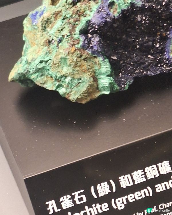 科學館雖然冇雞仔