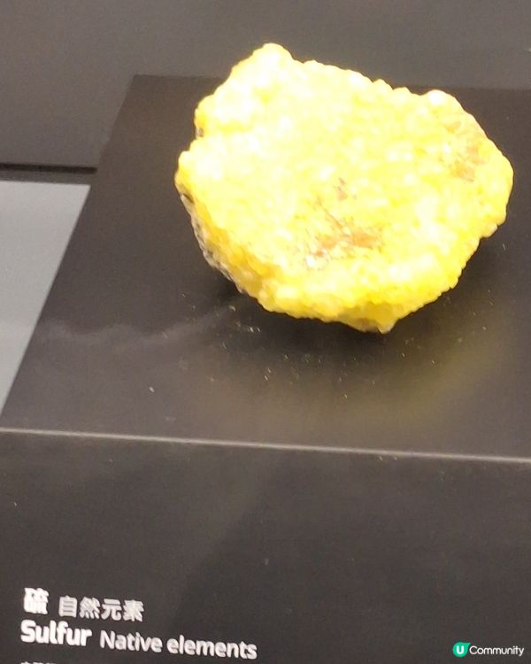 科學館雖然冇雞仔