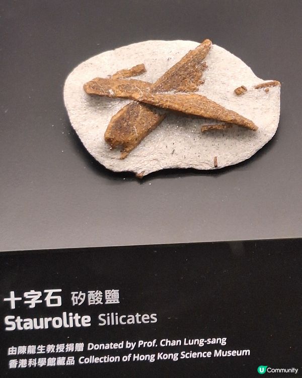 科學館雖然冇雞仔