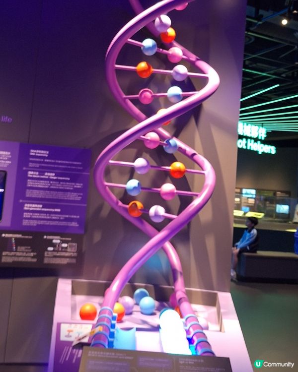 科學館雖然冇雞仔