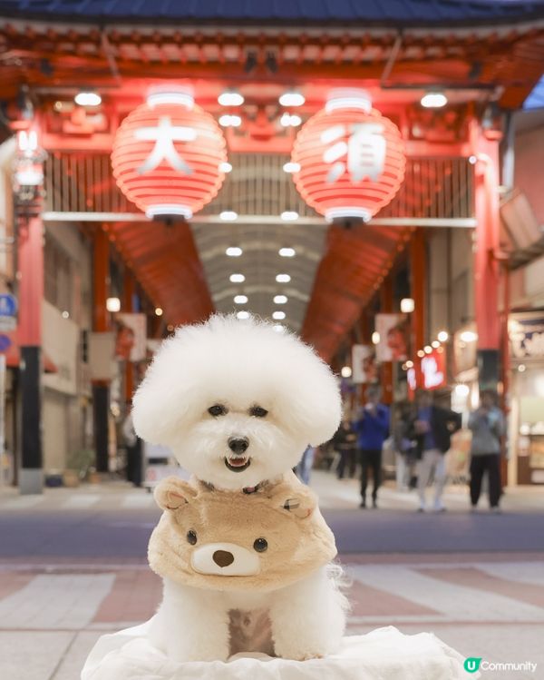 🏮 行到邊睇到邊 漫步四百年大須商店街 ⛩️🐾 】