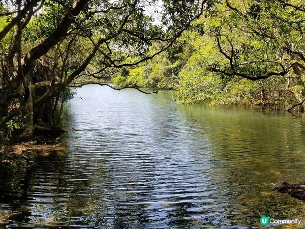輕輕鬆鬆就行完香港偽嵐山-河貝水塘