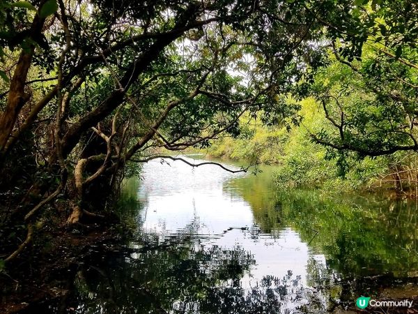 輕輕鬆鬆就行完香港偽嵐山-河貝水塘