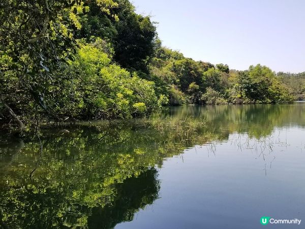 輕輕鬆鬆就行完香港偽嵐山-河貝水塘