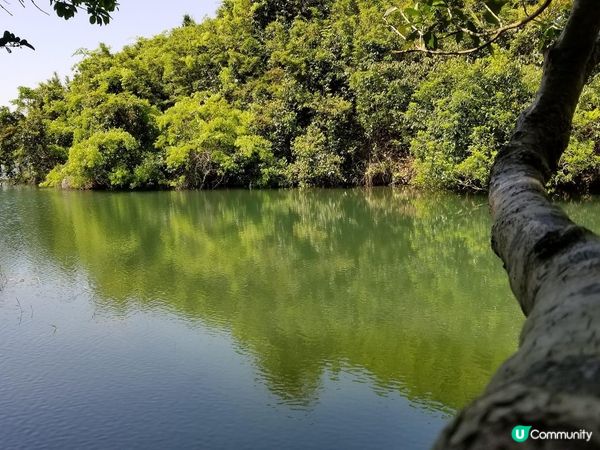 輕輕鬆鬆就行完香港偽嵐山-河貝水塘
