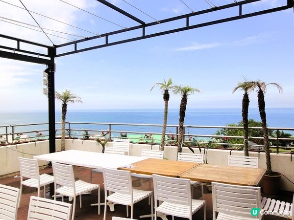 淡路島黃金洋蔥🧅！草泥馬打卡📸！超正！