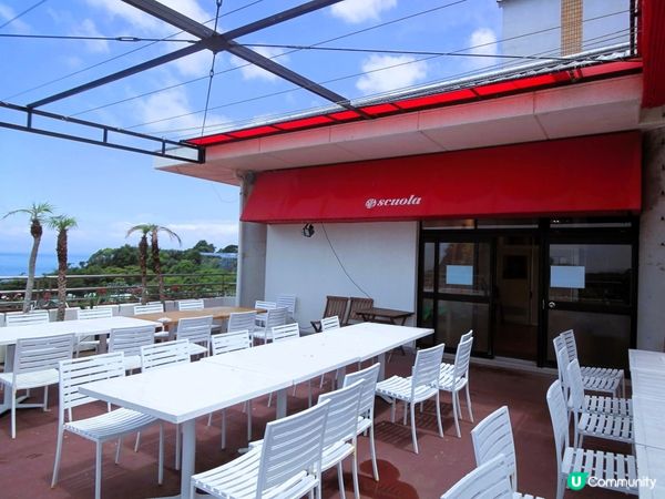 淡路島黃金洋蔥🧅！草泥馬打卡📸！超正！