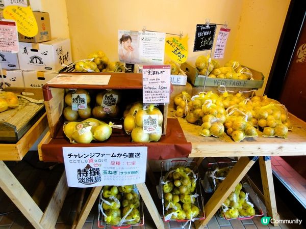 淡路島黃金洋蔥🧅！草泥馬打卡📸！超正！