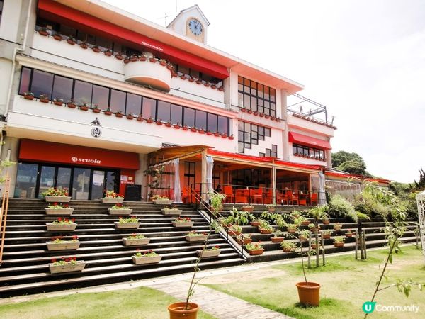 淡路島黃金洋蔥🧅！草泥馬打卡📸！超正！