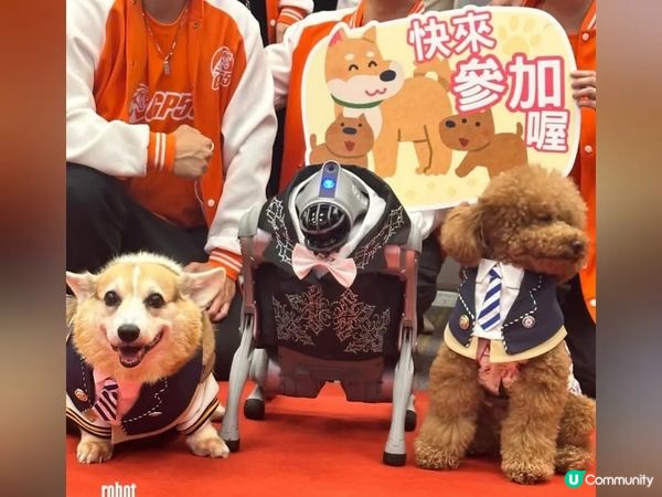 紅地氈寵物趴！🐶✨一齊爭獎！🏆