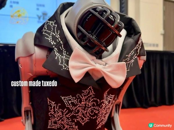 紅地氈寵物趴！🐶✨一齊爭獎！🏆