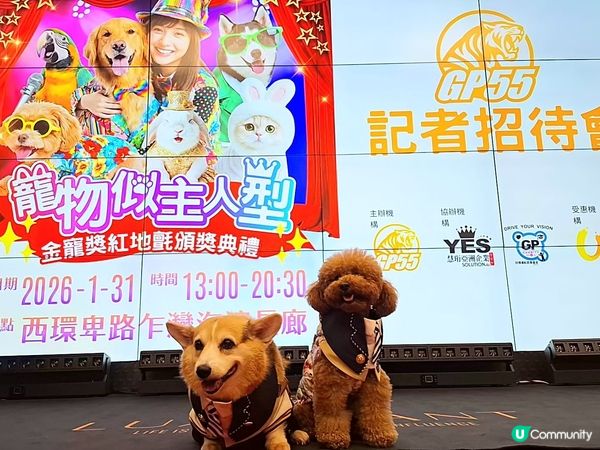 紅地氈寵物趴！🐶✨一齊爭獎！🏆