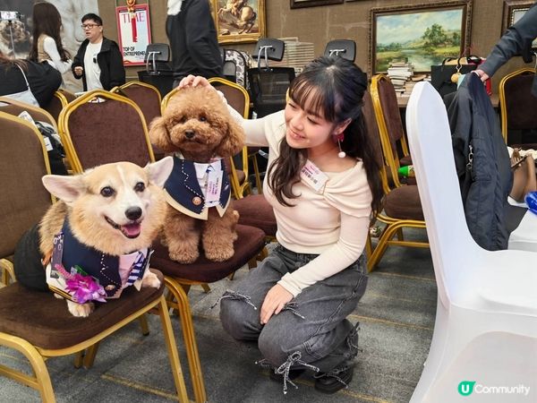 紅地氈寵物趴！🐶✨一齊爭獎！🏆