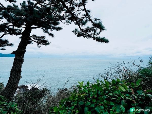 【韓國釜山】松島海灘 高空靚景🚡🏖️