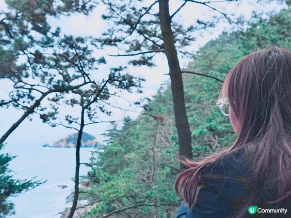 【韓國釜山】松島海灘 高空靚景🚡🏖️