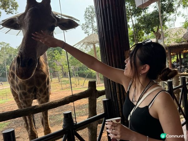 超近距離接觸動物園🦓🦒🦝🐆🦁