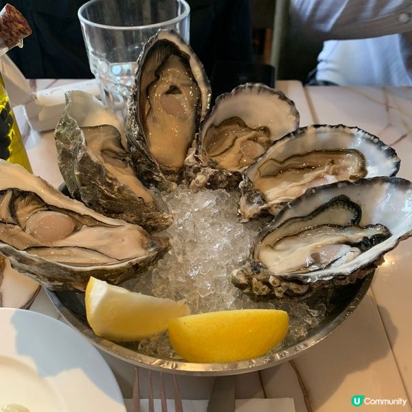 超大隻新鮮生蠔