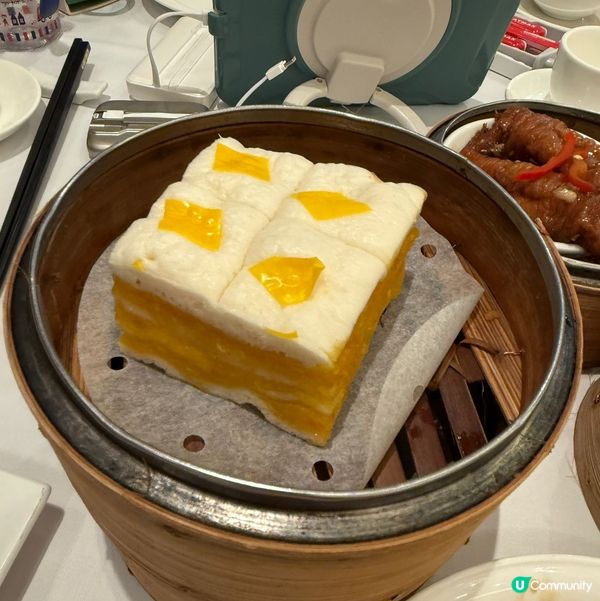 歡迎關注我嘅戶口､訂閱我嘅YouTube頻道, follow...