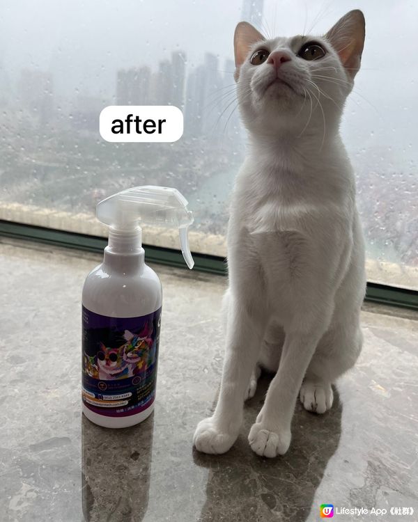 貓奴必備清潔劑