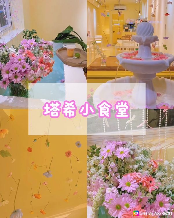 🌸2024年春季必去📍深圳花花打卡cafe合集