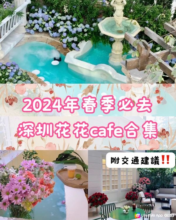 🌸2024年春季必去📍深圳花花打卡cafe合集