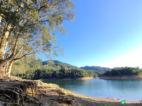 屬於香港的輕井澤-城門水塘