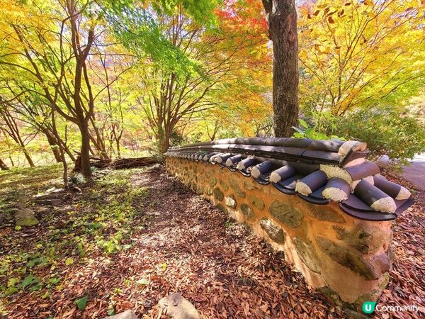 靚到嘩嘩聲嘅內臟山國家公園