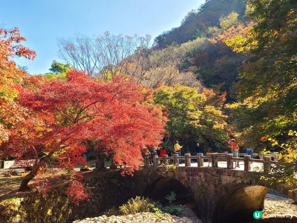 靚到嘩嘩聲嘅內臟山國家公園