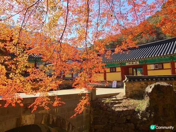 靚到嘩嘩聲嘅內臟山國家公園