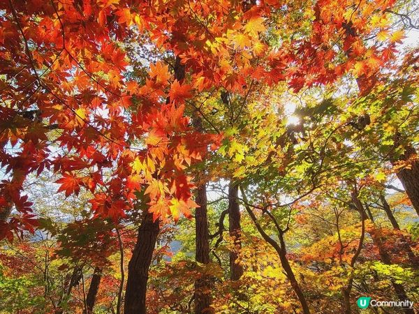 靚到嘩嘩聲嘅內臟山國家公園