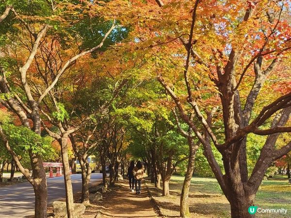 靚到嘩嘩聲嘅內臟山國家公園