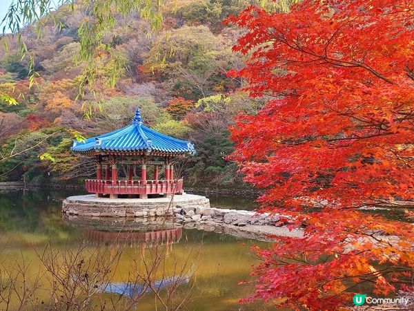 靚到嘩嘩聲嘅內臟山國家公園