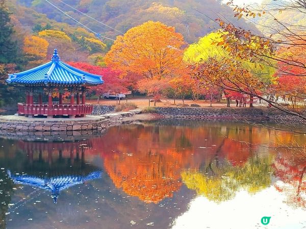 靚到嘩嘩聲嘅內臟山國家公園