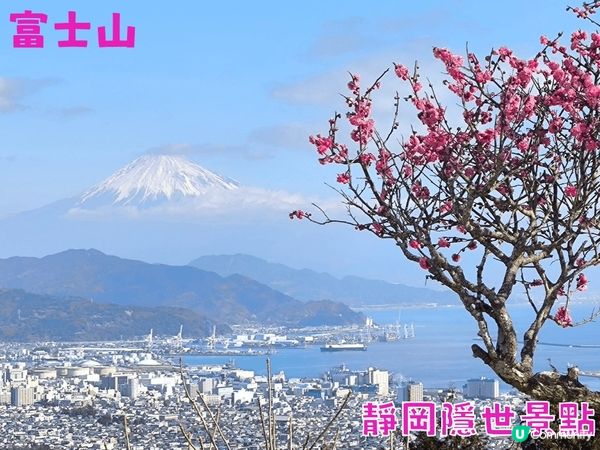 日本隱世觀賞富士山美景首選 巴士直達 人不多 仲要免費