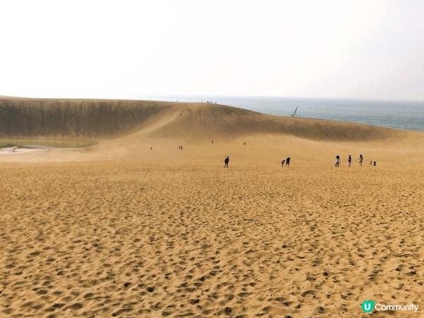 鳥取砂丘，日落美景！🌅