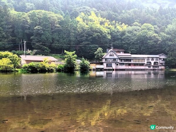金鱗湖由布院✨夕陽金鱗美景！ 