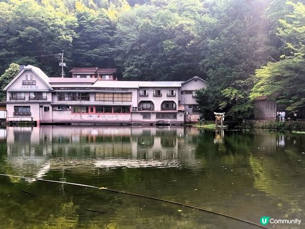 金鱗湖由布院✨夕陽金鱗美景！ 