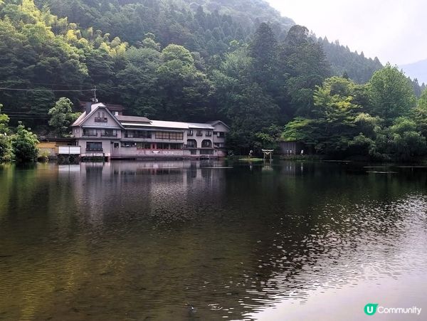 金鱗湖由布院✨夕陽金鱗美景！ 