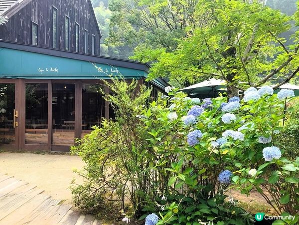 金鱗湖由布院✨夕陽金鱗美景！ 