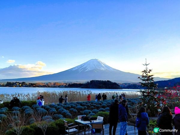 富士山打卡必去！大石公園攻略 📸🗻🌸