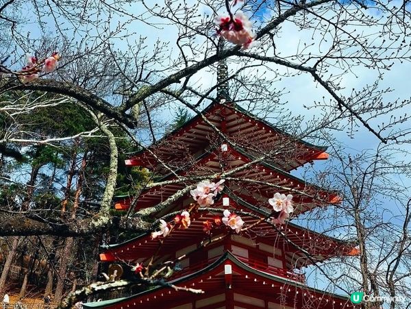 富士山淺間神社（富士山本宮淺間大社）