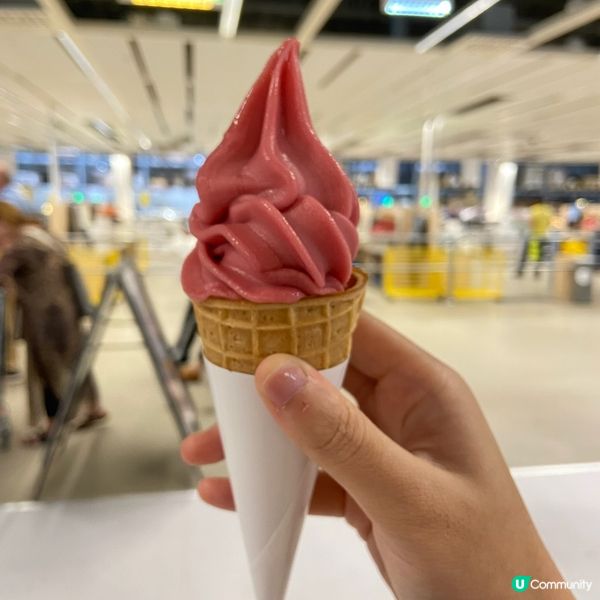 北歐瑞典最大的IKEA🇸🇪