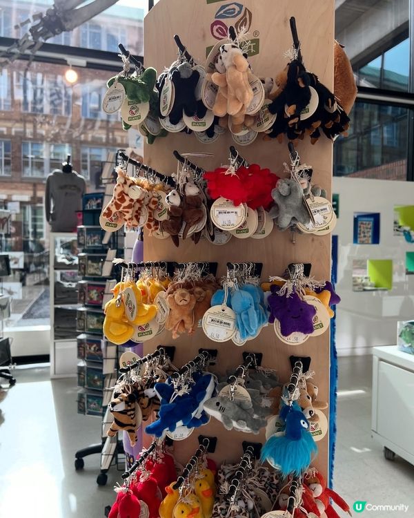 『英國』劍橋 | Museum of Zoology