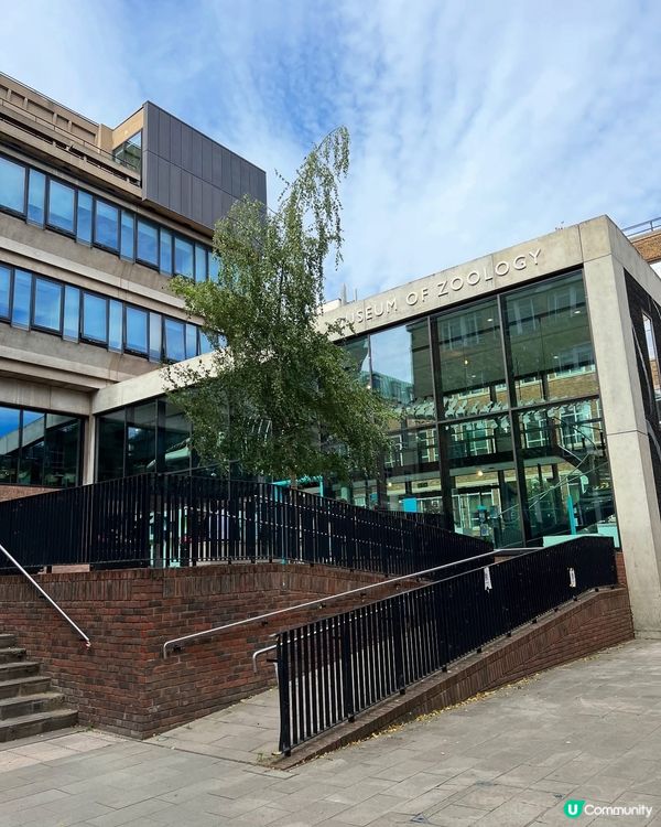 『英國』劍橋 | Museum of Zoology